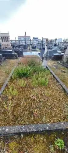tombe des soeurs les filles de la sagesse vue de coté